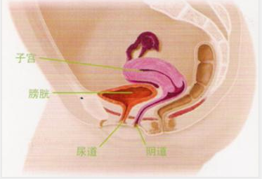 妇科炎症